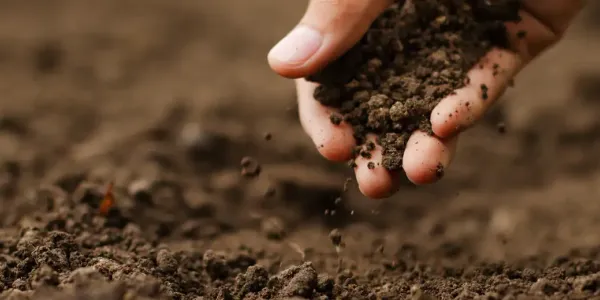 hand running through soil